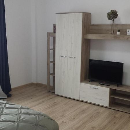 RădăuţiApartament Marioアパートメント エクステリア 写真