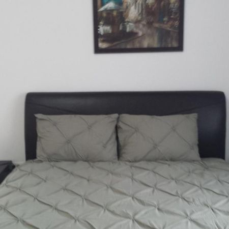 RădăuţiApartament Marioアパートメント エクステリア 写真