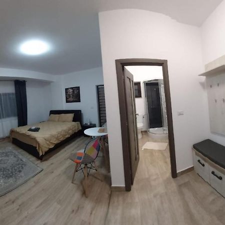 RădăuţiApartament Marioアパートメント エクステリア 写真