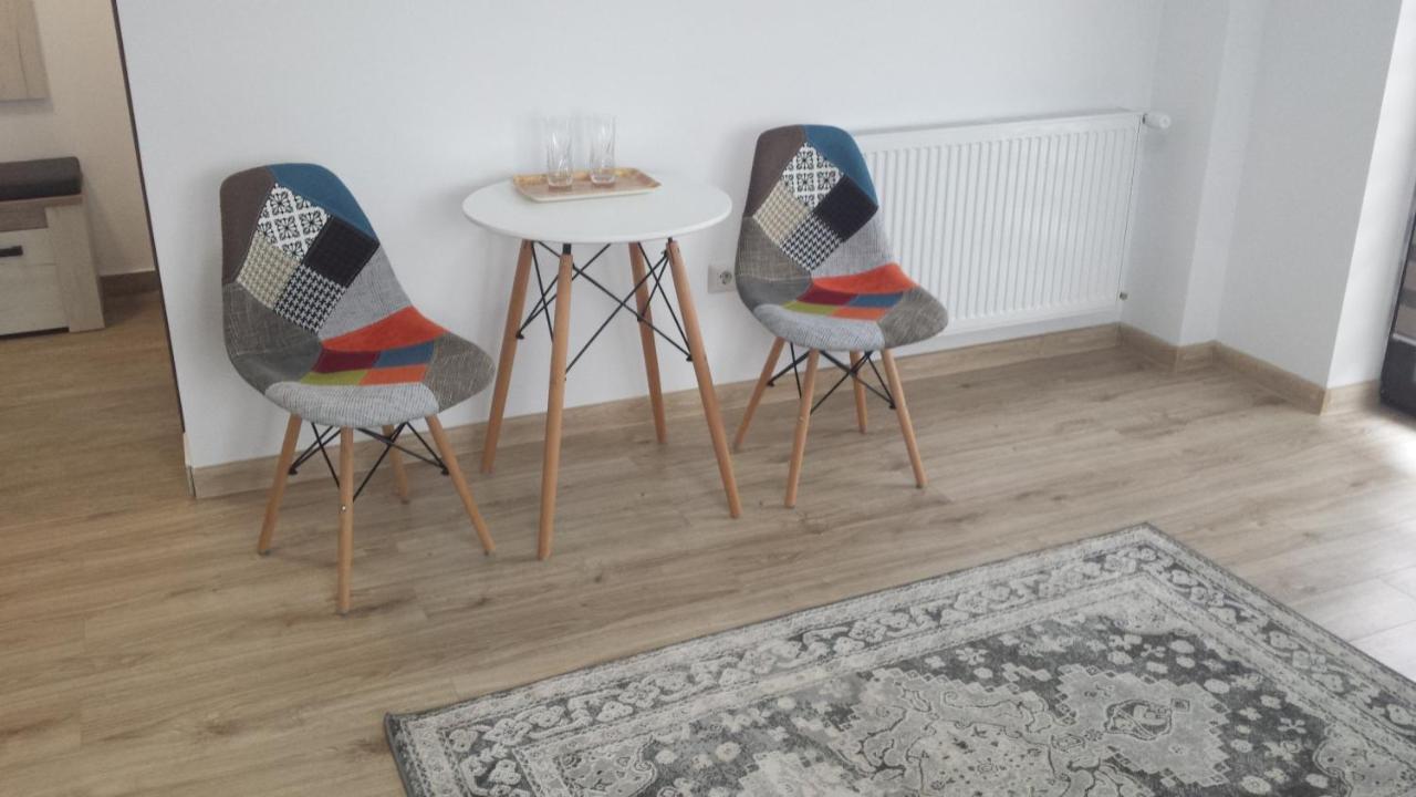 RădăuţiApartament Marioアパートメント エクステリア 写真