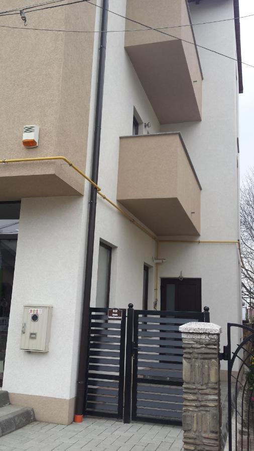 RădăuţiApartament Marioアパートメント エクステリア 写真